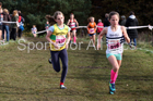 Girls under-13s National Cross Country Relay, Berry Hill Park, Mansfield. Photo:  David T. Hewitson/Sports for All Pics